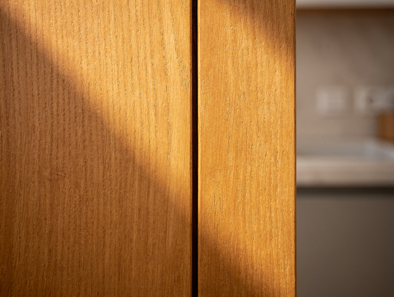 Structural plywood cabinet box panel section